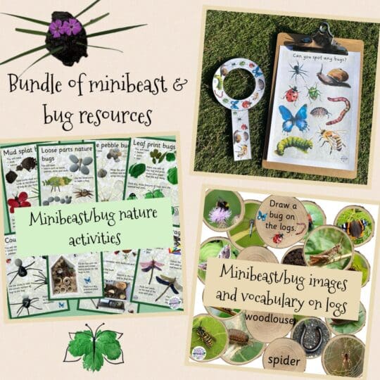 Bundle of minibeast and bug resources - Early Years Outdoor